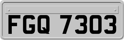 FGQ7303