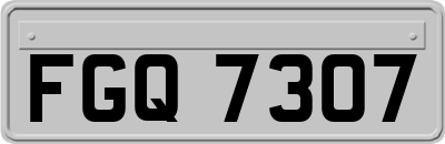 FGQ7307