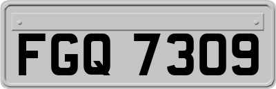 FGQ7309