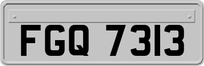 FGQ7313