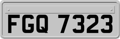 FGQ7323