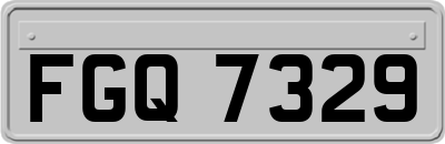 FGQ7329