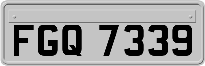 FGQ7339
