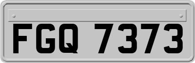 FGQ7373