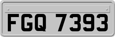 FGQ7393