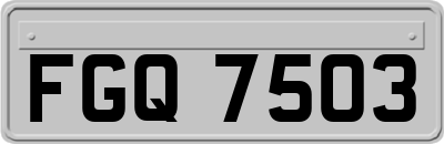 FGQ7503