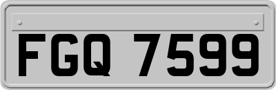 FGQ7599
