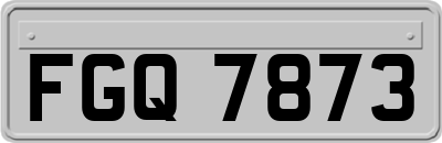 FGQ7873