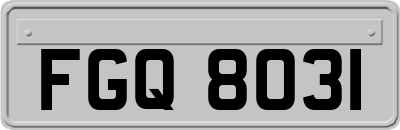 FGQ8031
