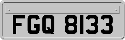 FGQ8133