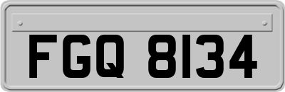 FGQ8134