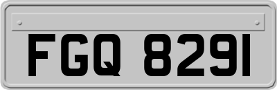 FGQ8291