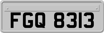 FGQ8313