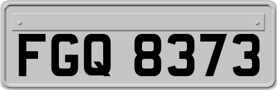FGQ8373