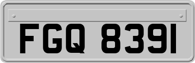 FGQ8391