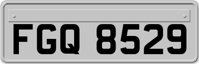 FGQ8529