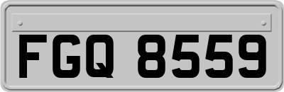 FGQ8559