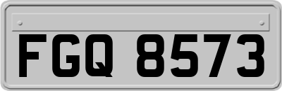 FGQ8573
