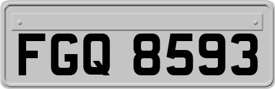 FGQ8593