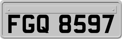 FGQ8597