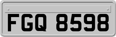 FGQ8598