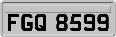 FGQ8599