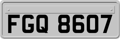 FGQ8607
