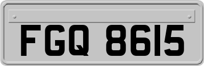 FGQ8615