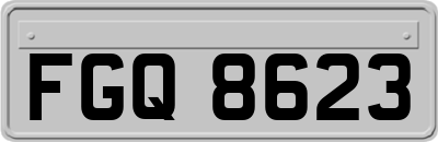 FGQ8623