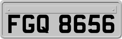 FGQ8656