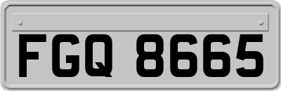 FGQ8665