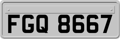 FGQ8667