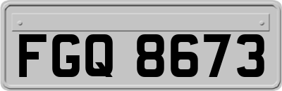FGQ8673