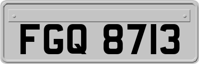 FGQ8713