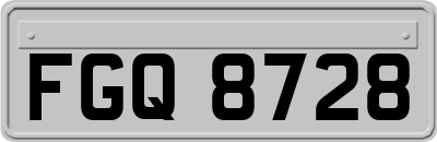 FGQ8728