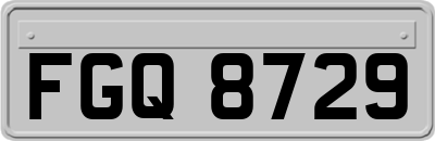 FGQ8729