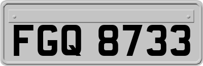 FGQ8733