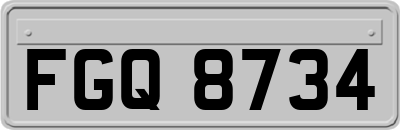 FGQ8734