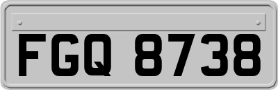 FGQ8738