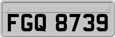 FGQ8739