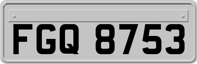 FGQ8753