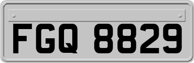 FGQ8829