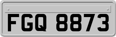 FGQ8873