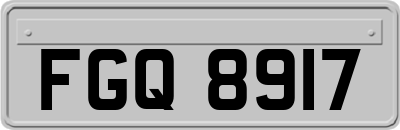 FGQ8917