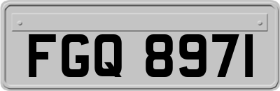 FGQ8971