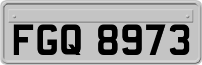 FGQ8973
