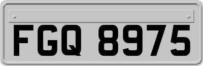 FGQ8975
