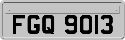FGQ9013