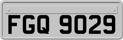 FGQ9029