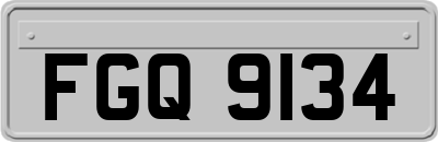 FGQ9134